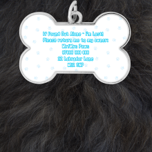 Personalised Bone Shaped 'I'm Lost!' Pet Collar Tag - 'I'm Lost!' Collar Tag - Black