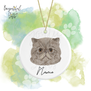 Personalised Watercolour Cat Face Round Ceramic Hanging Decoration - Exotic Shorthair - Face 6