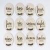 Baby Milestone Disc Set - New Baby Gift and Baby Shower Gifts / Wooden Photo Prop / Newborn Gift Ideas /Milestone Cards