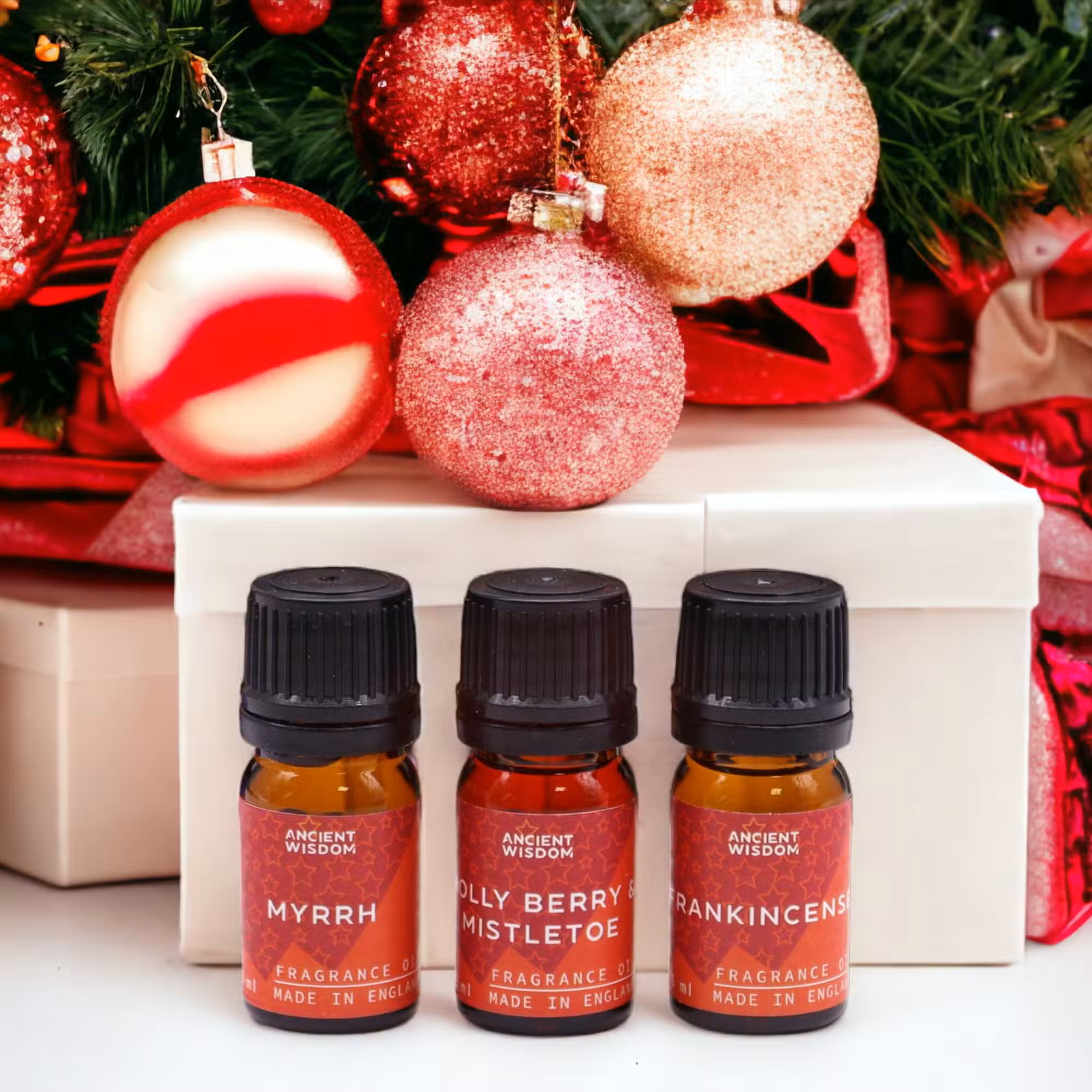Holy Scents of Christmas Fragrance Oils Set - 12 Festive Oils