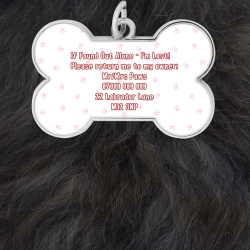 'I'm Lost!' Collar Tag - Pink