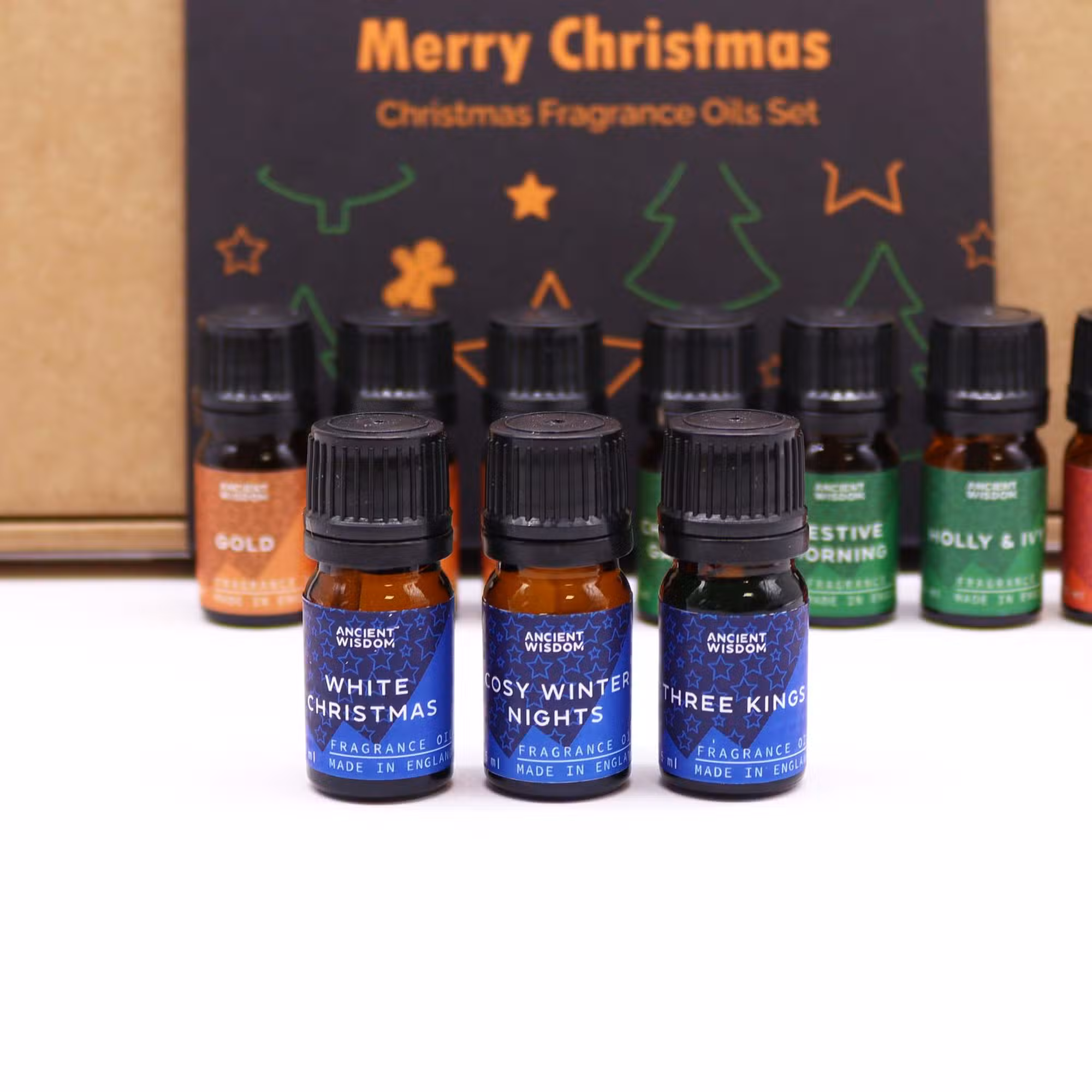 Holy Scents of Christmas Fragrance Oils Set - 12 Festive Oils