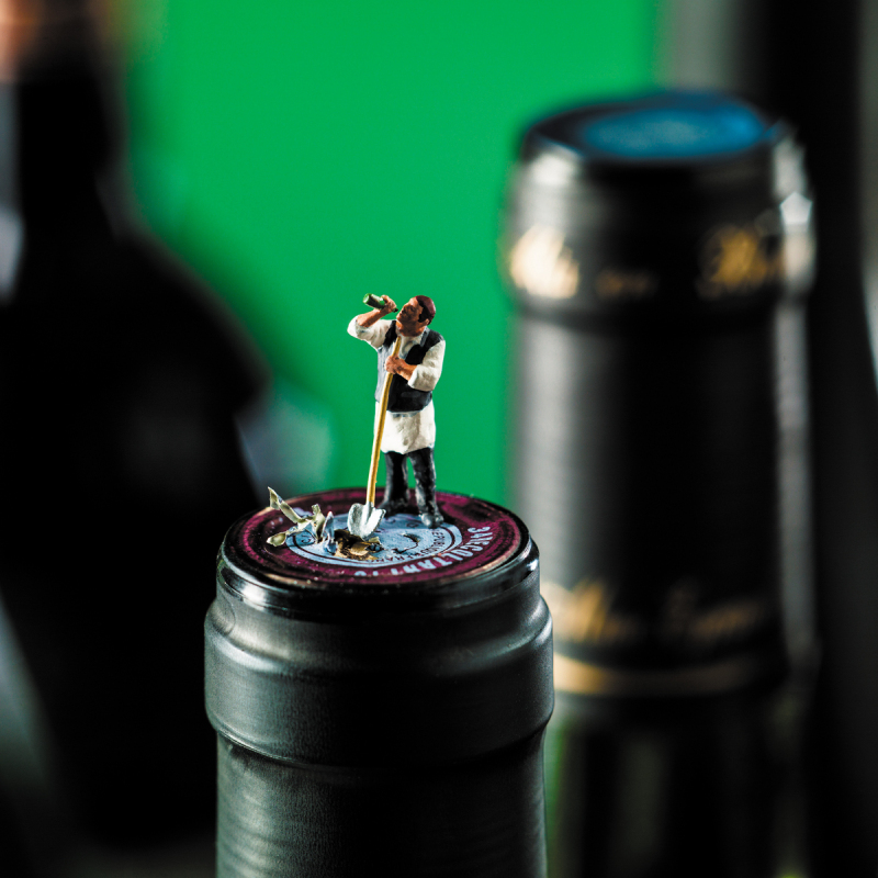 Holy Mackerel Digging for treasure, a wine themed Minimiam blank greetings card, 150mm square, printed in the UK on board from sustainable sources