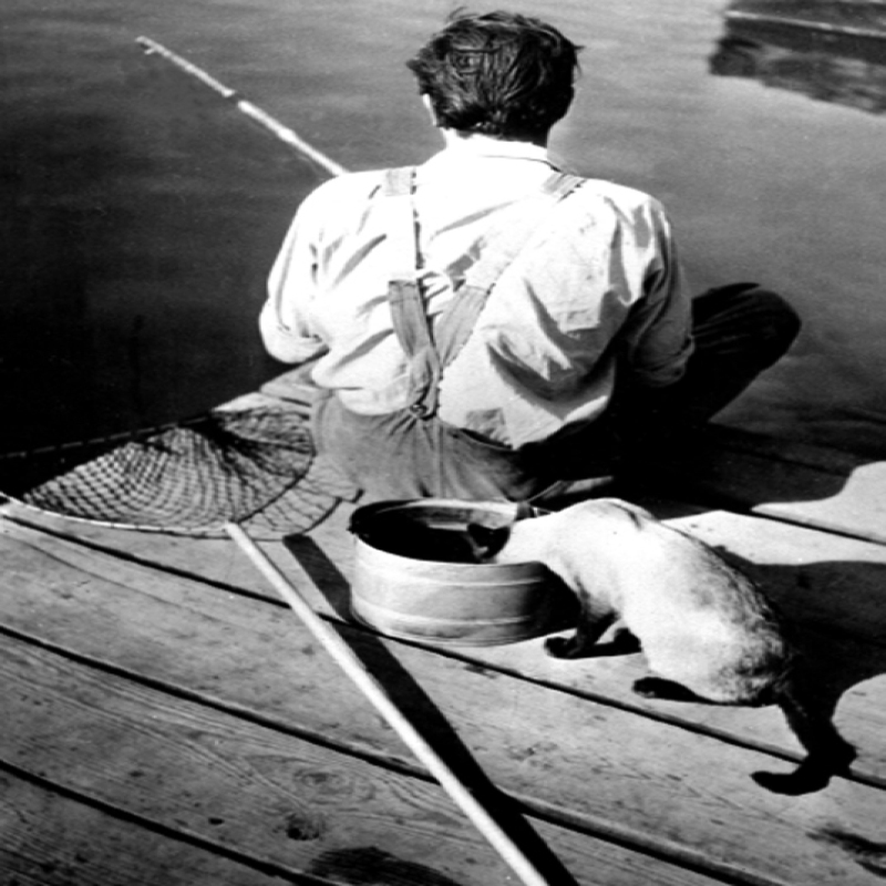 Man and cat fishing