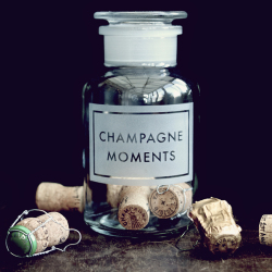Holy Mackerel champagne moments retro themed blank greeting card for him or her - designed by Andy Poplar - 15cm square and blank inside for your message