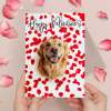Valentine's Day Card of A Golden Retreiver Dog Valentine's Day Card For Her or For Him From The Dog - Portrait (5x7) / Blank Inside