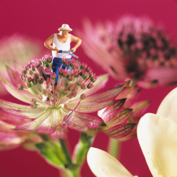 Holy Mackerel Ex-stamen-ate, a flower themed Minimiam blank greetings card, 150mm square, printed in the UK on board from sustainable sources