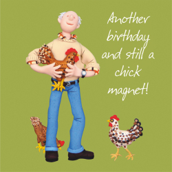 Holy Mackerel Chick Magnet male birthday greetings card designed by Erica Sturla Card is 15cm square and blank inside for your own message