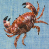 Brown Crab 150mm Square Greetings Card by Artist Sarah J Perry