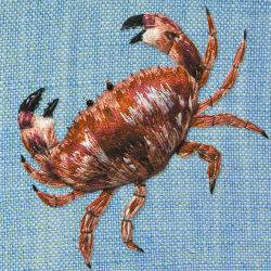 Brown Crab 150mm Square Greetings Card by Artist Sarah J Perry