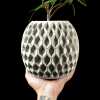 Hexa Planter Pot 02 - Matte Dark Green