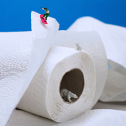 On a roll 150mm Square Greetings Card by Akiko Ida and Pierre Javelle