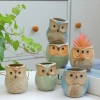 Cute Owl Bonsai Pots with Bamboo Tray