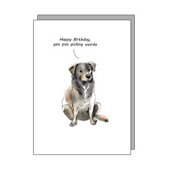 Poo Picking weirdo - funny dog card