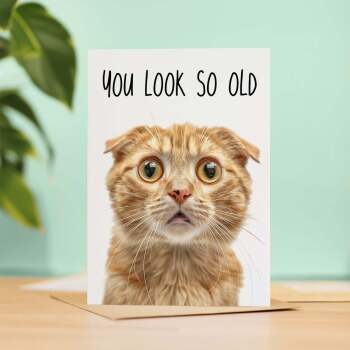 Funny Birthday Card For Him Fun Cat Birthday Card You Look So Old Rude Funny Birthday Card For Her Fun Cat Birthday Card For Anyone