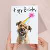 Birthday Card For Her Card For Friend Mum or Sister Birthday Card For Him Brother Dad Happy Birthday Card of Border Terrier Dog Card - Large (5x7) / Blank Message
