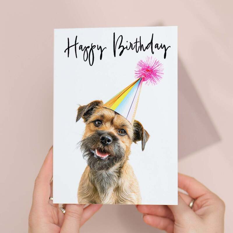 Birthday Card For Her Card For Friend Mum or Sister Birthday Card For Him Brother Dad Happy Birthday Card of Border Terrier Dog Card - Large (5x7) / Blank Message