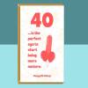 Funny 40th Birthday Card - Cheeky Card for Someone Turning 40 years old - For Him or For Her - Can be personalised inside - Large or Small - Blank inside - Large