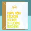 40th Birthday Card - Personalised inside - For Him or Her - For friend, brother, sister, or anyone else turning 40 years old - Blank inside - Regular - Matte