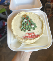 Christmas Bento Cake