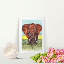 Elephant - A4 Print - Mounted