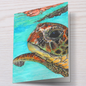 Sea Turtle - Greeting Card - Sea Turtle Art