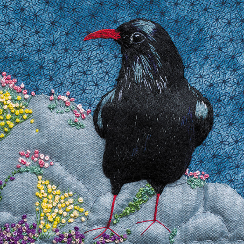 Chough 150mm Square Greetings Card by Artist Sarah J Perry