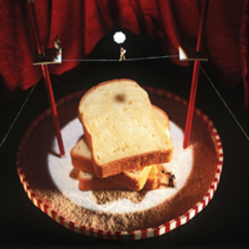 Soft Landing 150mm Square Greetings Card by Akiko Ida and Pierre Javelle