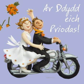 Holy Mackerel Ar dydd eich priodas Welsh Language Wedding Card by Erica Sturla Card is 15cm square and blank inside.