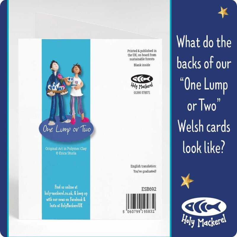 Welsh birthday card for son - Mab bendigedig art card by Erica Sturla - UK made
