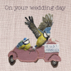 Just married birds