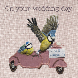 Just married birds