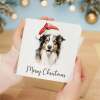 Fun Christmas Card of a Collie Dog Wearing A Santa Hat Whimsical Watercolour Christmas Card For Animal Lover For Him or Her - Square (5.5x5.5) / Blank Inside