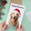 Christmas Card For Him or Her Christmas Card With A Dog Golden Retriever Dog Christmas Card For Anyone Friend Fun Christmas Card of a Dog - Large (5x7) / Blank Message