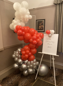 Balloon Displays