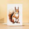 Red Squirrel Notelet Card For Anyone Any Occasion Card For Her or For Him 5x7, A6 Card For Birthday or Easter Card Thank You Card Wildlife - Large (5x7) / Blank Message
