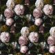 DAMASK ROSE - ANTIQUE
