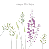 In The Meadow Birthday Card