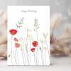 Poppies & daisies birthday card -  designed by Eloise Hall - 15.7 x 11cm and blank inside, made in the UK