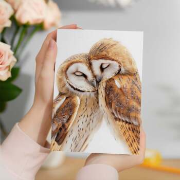 Anniversary Card – Cute Owls Nuzzling, Romantic Card for Husband, Wife, Boyfriend or Girlfriend