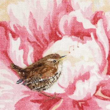 Warbling Wren 150mm Square Greetings Card by Sarah J Perry