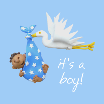 Holy Mackerel cute it's a boy new baby card - designed by artist Erica Sturla - 15cm square and blank inside for your message - made in the UK