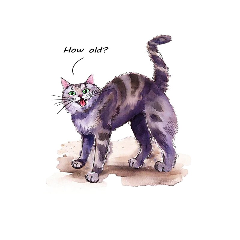 How Old? - funny cat card