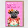 Have a Bougie Birthday pug dog animal in clothes card for female, girlfriend, wife, partner, girl, gal pal (Animalyser) Size A6/A5/A4/Square - A6: Single card