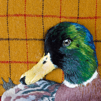 Mister Mallard 150mm Square Greetings Card by Sarah J Perry
