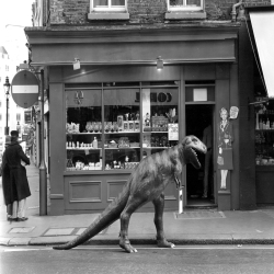 Holy Mackerel out shopping retro black and white photographic card featuring a vintage image of a model of a dinosaur on the high street - 12.6 x 17.7cm and blank inside