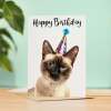 Birthday Card For Anyone Birthday Card For Friend Birthday Card For Her or For Him Siamese Cat Birthday Card For Son or Daughter - Large (5x7) / Blank Message
