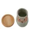Cute Owl Bonsai Pots with Bamboo Tray