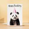 Birthday Card For Him or Her Fun Birthday Card of A Panda Happy Birthday Card For Mum, Dad, Sister Brother - Large (5x7) / Blank Message