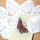 English Butterfly Stick and Stitch Washable Transfers, Peacock, Red Admiral, Orange Tip, Meadow Brown,  Common Blue, Painted Lady, Brimstone